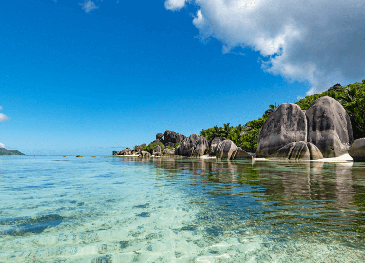 Seychellen Pelikaan Vakantiebeurs